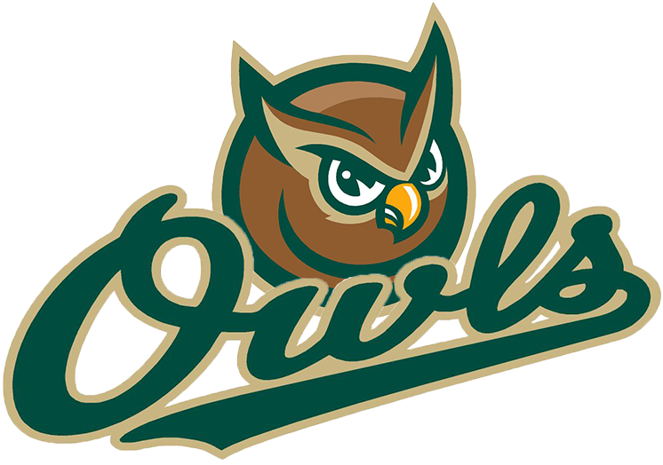 Forest City Owls 2008-Pres Secondary Logo iron on transfers for clothing